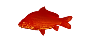 Оренжи Огон