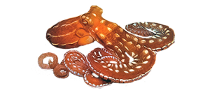 Осьминог обыкновенный