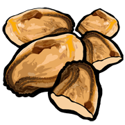 Мясо ракушки